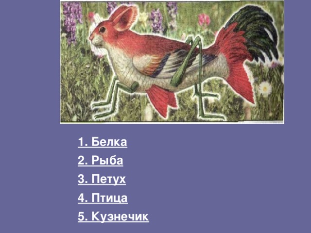 1. Белка 2. Рыба 3. Петух 4. Птица 5. Кузнечик 