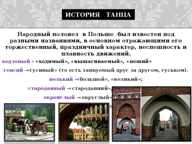 История танца Народный полонез в Польше был известен под разными названиями, в основном отражающими его торжественный, праздничный характер, неспешность и плавность движений. ходзоный - «ходимый», «вышагиваемый», «пеший» генсий -«гусиный» (то есть танцуемый друг за другом, гуськом). велький -«большой», «великий»; стародавный -«стародавний», «традиционный»; окронглый -«округлый», «плавный»; вольный - «медленный»; 