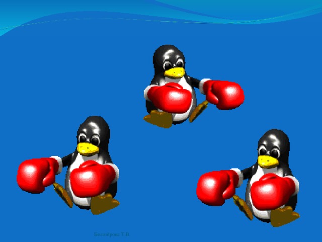 Белозёрова Т.В. 