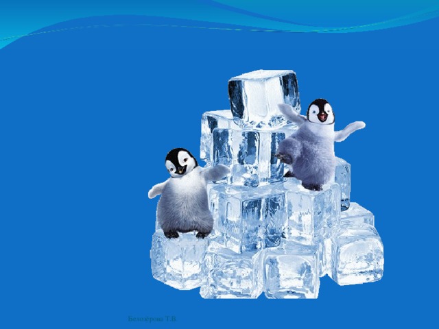 Белозёрова Т.В. 