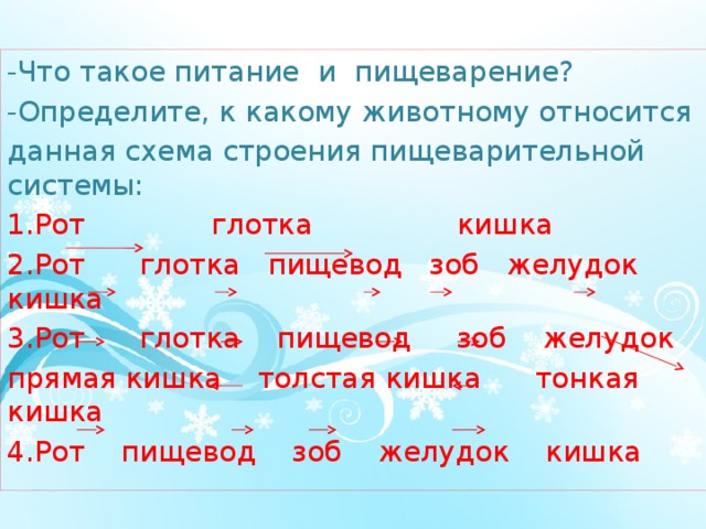 -Что такое питание и пищеварение? -Определите, к какому животному относится данная схема строения пищеварительной системы: 1.Рот глотка кишка 2.Рот глотка пищевод зоб желудок кишка 3.Рот глотка пищевод зоб желудок прямая кишка толстая кишка тонкая кишка 4.Рот пищевод зоб желудок кишка 