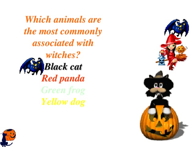 Which animals are the most commonly associated with witches? Black cat Red panda Green frog Yellow dog 