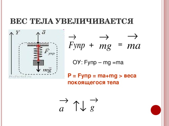 Схема вес тела