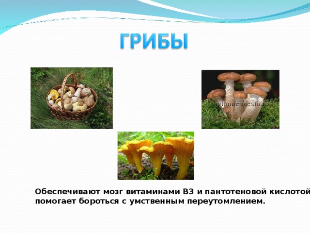 Обеспечивают мозг витаминами B3 и пантотеновой кислотой, что помогает бороться с умственным переутомлением. 