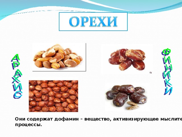 Они содержат дофамин – вещество, активизирующее мыслительные процессы. 
