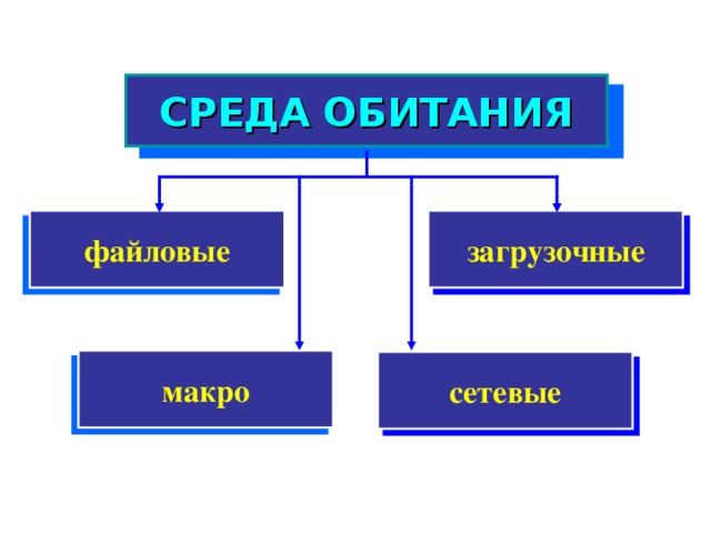 СРЕДА ОБИТАНИЯ загрузочные файловые макро сетевые 