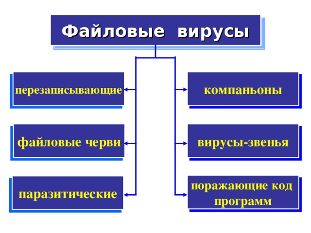 Файловые вирусы компаньоны перезаписывающие вирусы-звенья файловые черви поражающие код программ паразитические 