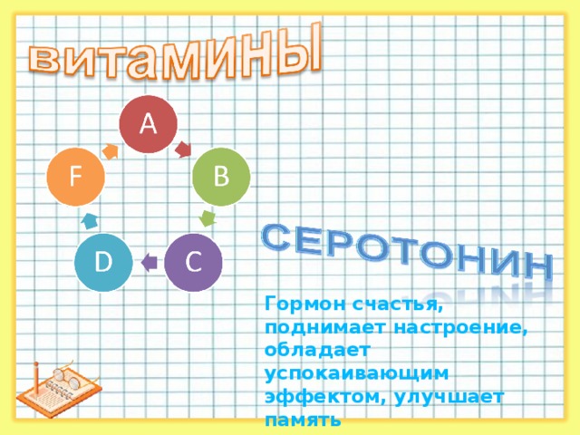 Гормон счастья, поднимает настроение, обладает успокаивающим эффектом, улучшает память   