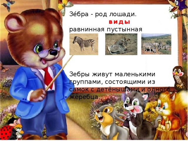 Зе́бра - род лошади. виды  равнинная  пустынная  горная. Зебры живут маленькими группами, состоящими из самок с детёнышами и одного жеребца. 