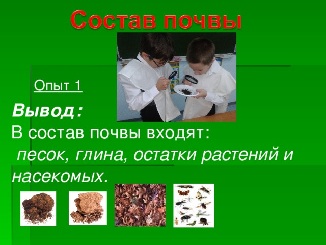 Опыт 1 Вывод: В состав почвы входят:  песок, глина, остатки растений и насекомых. 