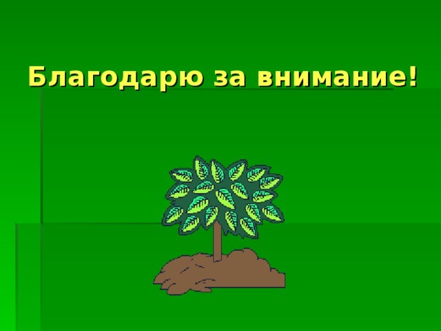 Благодарю за внимание! 