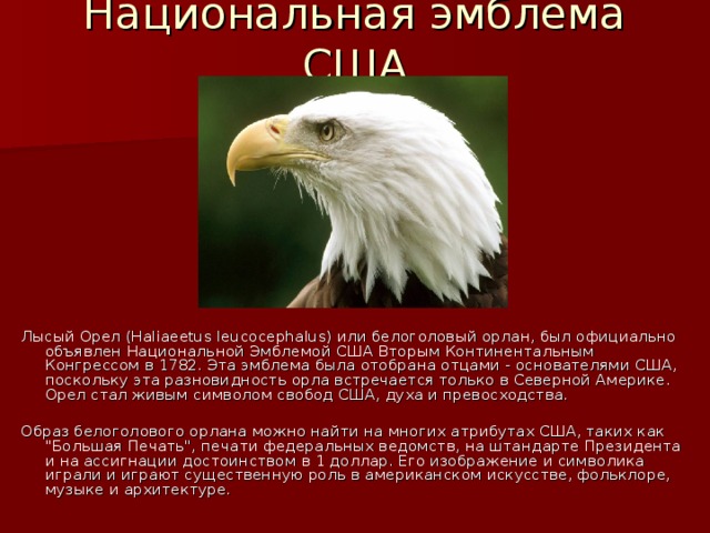 Национальная эмблема США Лысый Орел (Haliaeetus leucocephalus) или белоголовый орлан, был официально объявлен Национальной Эмблемой США Вторым Континентальным Конгрессом в 1782. Эта эмблема была отобрана отцами - основателями США, поскольку эта разновидность орла встречается только в Северной Америке. Орел стал живым символом свобод США, духа и превосходства.   Образ белоголового орлана можно найти на многих атрибутах США, таких как 
