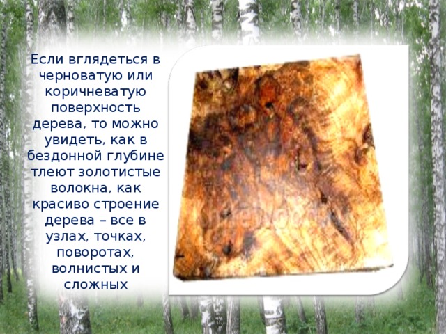 Если вглядеться в черноватую или коричневатую поверхность дерева, то можно увидеть, как в бездонной глубине тлеют золотистые волокна, как красиво строение дерева – все в узлах, точках, поворотах, волнистых и сложных 