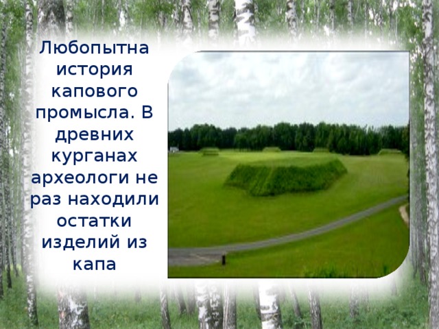 Любопытна история капового промысла. В древних курганах археологи не раз находили остатки изделий из капа 
