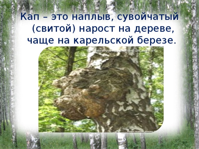 Кап – это наплыв, сувойчатый (свитой) нарост на дереве, чаще на карельской березе. 