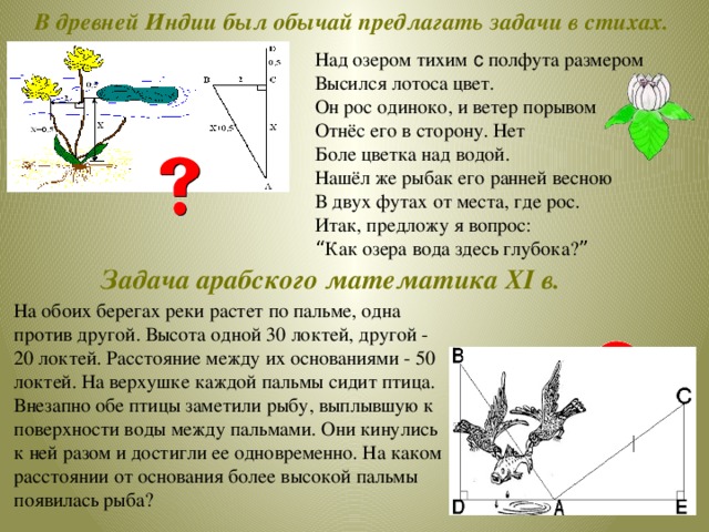 В древней Индии был обычай предлагать задачи в стихах. Над озером тихим с полфута размером Высился лотоса цвет. Он рос одиноко, и ветер порывом Отнёс его в сторону. Нет Боле цветка над водой. Нашёл же рыбак его  ранней весною В двух футах от места, где рос. Итак, предложу я вопрос: “ Как озера вода здесь глубока? ”  Задача арабского математика XI в. На обоих берегах реки растет по пальме, одна против другой. Высота одной 30 локтей, другой - 20 локтей. Расстояние между их основаниями - 50 локтей. На верхушке каждой пальмы сидит птица. Внезапно обе птицы заметили рыбу, выплывшую к поверхности воды между пальмами. Они кинулись к ней разом и достигли ее одновременно. На каком расстоянии от основания более высокой пальмы появилась рыба? 