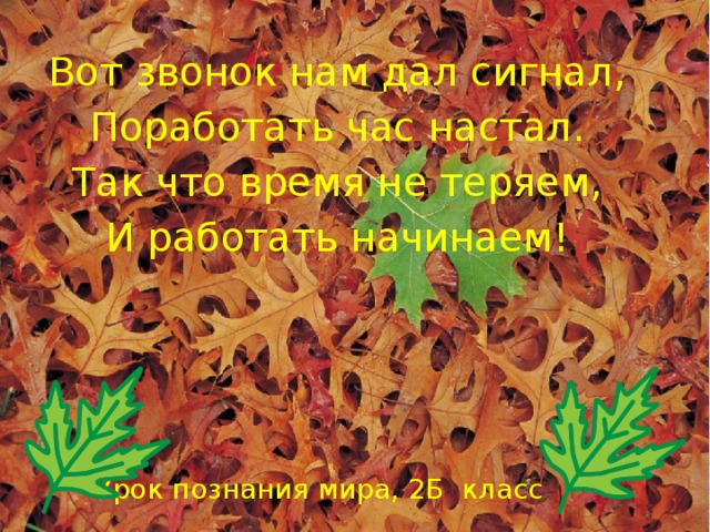 Вот звонок нам дал сигнал, Поработать час настал. Так что время не теряем, И работать начинаем! Урок познания мира, 2Б класс 