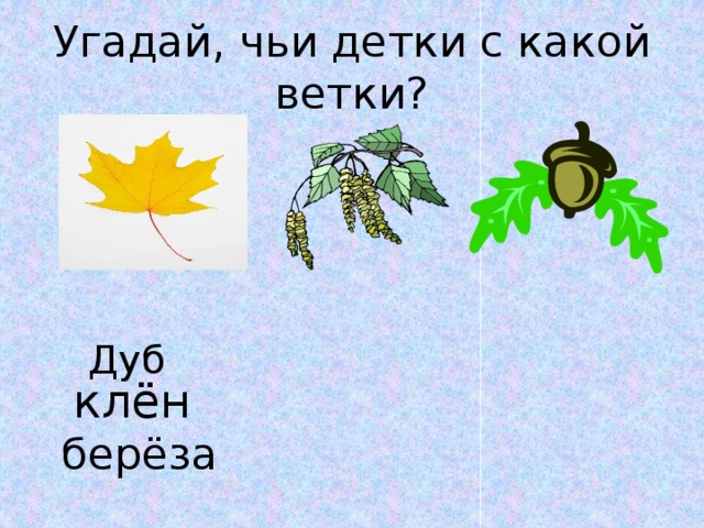 Детки ветки. Игра с какой ветки детки. С чьей ветки детки. С какой ветки детка. С какой ветки эти детки.