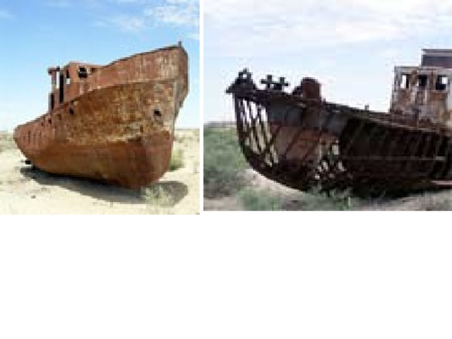 Today, Muynak is a desert town more than a hundred kilometers from the sea. The only reminders of the once thriving fishing activity are the rusting hulks of ships and an ancient fish plant. The sea has shrunk to two-fifths of its original size and now ranks about 10 th in the world. The water level has dropped by 16 metres and the volume has been reduced by 75 percent, a loss equivalent to the water in both Lakes Erie and Huron. The ecological effect has been disastrous and the economic, social and medical problems for people in the region catastrophic. All 20 known fish species in the Aral Sea are now extinct, unable to survive the toxic, salty sludge 