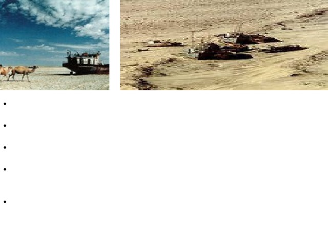 Here are some of the results of the shrinking of the Aral Sea: As water has been drained from the rivers for cotton farming, the sea's water has become much saltier. As more water has been taken from the rivers, the sea's water level has decreased by over 60%. Drinking water supplies have dwindled, and the water is contaminated with pesticides and other agricultural chemicals as well as bacteria and viruses. The farms in the area use some highly toxic pesticides and other harmful chemicals. For decades, these chemicals have been deposited into the Aral Sea. When the wind blows across the dried-up sea, it carries dust containing these toxic chemicals. Lakes and seas tend to have a moderating effect on the climate. In other words, the land right next to a body of water tends to be warmer in the winter and cooler in the summer than land that's not near the water. As the Aral Sea has lost water, the climate has become more extreme.   