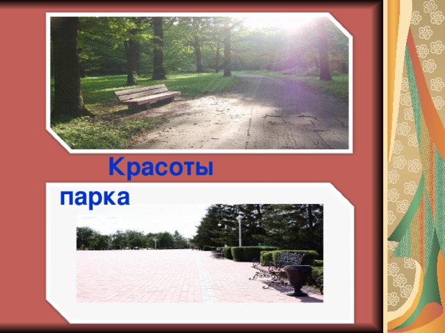  Красоты парка 