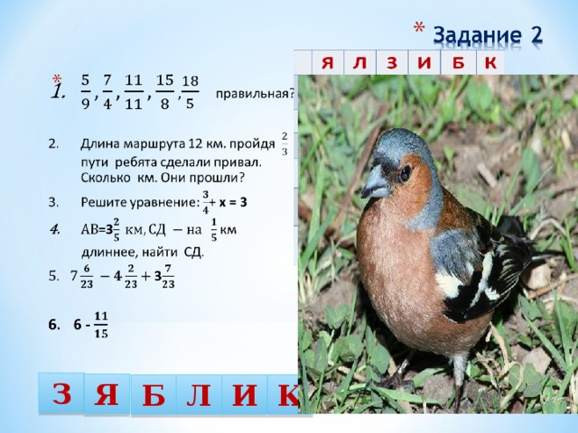 8 6 З Я Л К И Б 