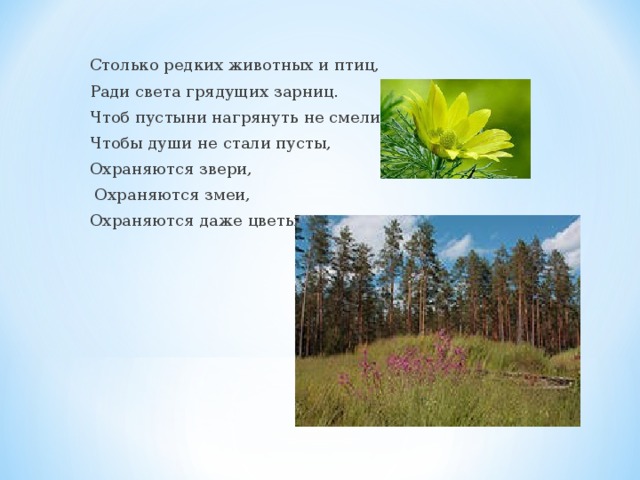Столько редких животных и птиц, Ради света грядущих зарниц. Чтоб пустыни нагрянуть не смели, Чтобы души не стали пусты, Охраняются звери,  Охраняются змеи, Охраняются даже цветы. 