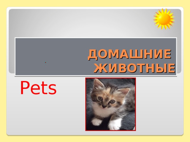 ДОМАШНИЕ ЖИВОТНЫЕ Pets 
