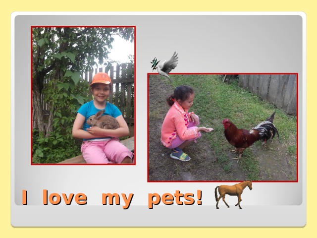 I love my pets! 