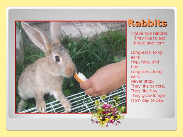 Rabbits have got long. A Rabbit has got long Ears. Why Rabbits have got long Ears. Long Ear Rabbit. They have got long Ears Rabbits.