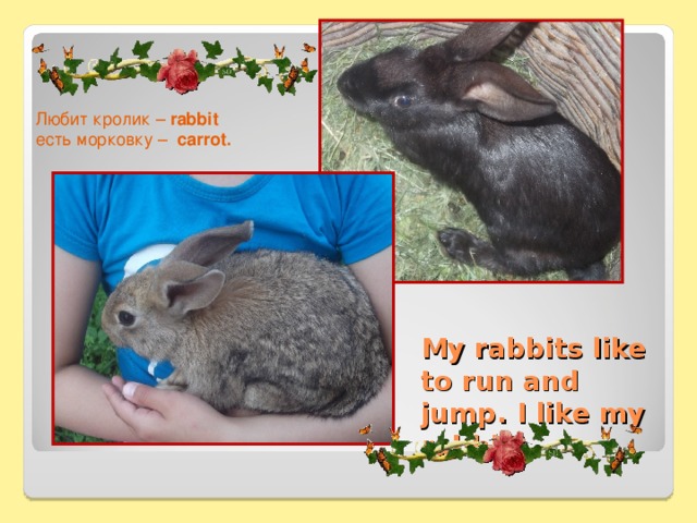 Любит кролик – rabbit    есть морковку – carrot .  My rabbits like to run and jump. I like my rabbits.   