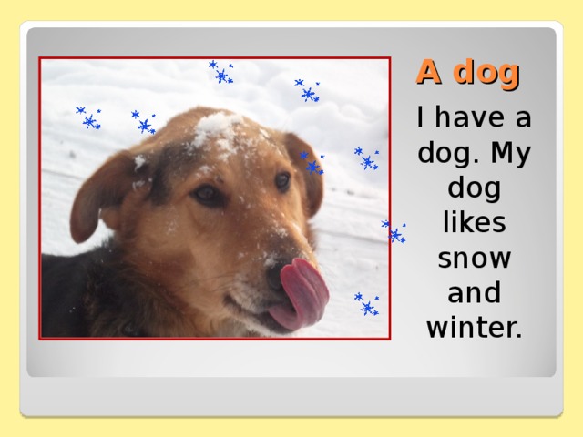 A dog I have a dog. My dog likes snow and winter. 