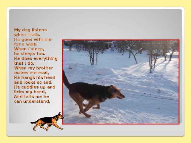 My dog listens when I talk .   He goes with me for a walk .   When I sleep, he sleeps too.  He does everything that I do.  When my brother makes me mad,  He hangs his head and looks so sad.  He cuddles up and licks my hand ,   And tells me he can understand.   