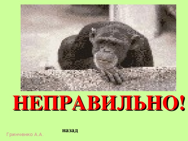 НЕПРАВИЛЬНО! назад Гринченко А.А . 