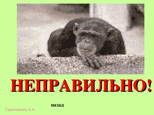 НЕПРАВИЛЬНО! назад Гринченко А.А . 