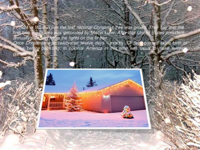 In 1924 in Washington the first national Christmas tree was grown. They say that the first time the fir tree was decorated by Martin Luter. After that United States president annually solemnly lights the lights on this fir tree. Once Christmas was celebrated twelve days - exactly 12 days passed since birth of Jesus before baptizing. In colonial America in this time was usual to make evening parties. 