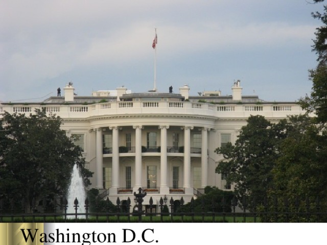 Washington D.C. 