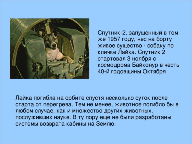 Спутник-2, запущенный в том же 1957 году, нес на борту живое существо - собаку по кличке Лайка. Спутник 2 стартовал 3 ноября с космодрома Байконур в честь 40-й годовщины Октября Лайка погибла на орбите спустя несколько суток после старта от перегрева. Тем не менее, животное погибло бы в любом случае, как и множество других животных, послуживших науке. В ту пору еще не были разработаны системы возврата кабины на Землю.  