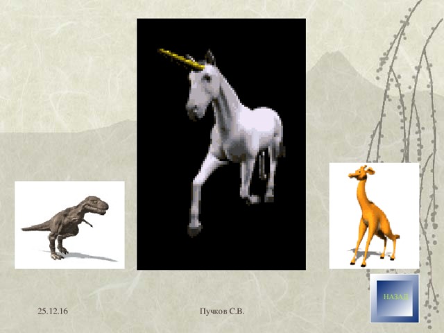 25.12.16 Пучков С.В. 