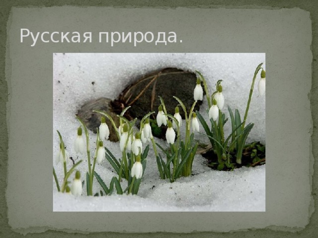 Русская природа. 