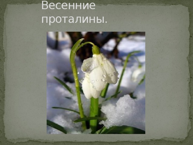 Весенние проталины. 