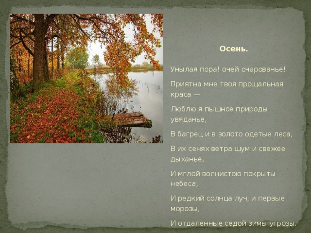 Стих о природе пушкин. Стихи Александра Сергеевича Пушкина о природе. Стихотворение Александра Сергеевича Пушкина о природе. Александр Сергеевич Пушкин на природе. Александр Сергеевич Пушкин стихотворение о природе.