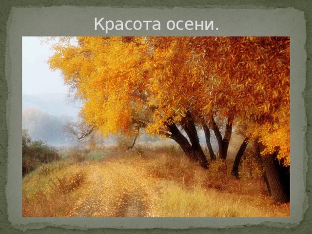 Красота осени. 