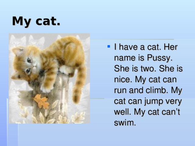 My cat. I have a cat. Her name is Pussy. She is two. She is nice. My cat can run and climb. My cat can jump very well. My cat can’t swim. 