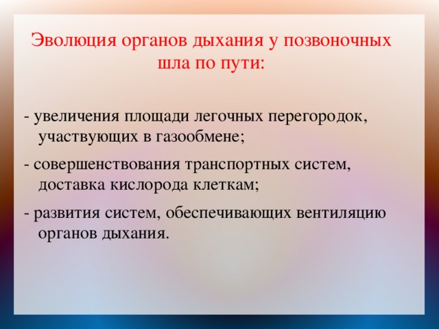 Эволюция органов дыхания у позвоночных шла по пути:   - увеличения площади легочных перегородок, участвующих в газообмене; - совершенствования транспортных систем, доставка кислорода клеткам; - развития систем, обеспечивающих вентиляцию органов дыхания.  