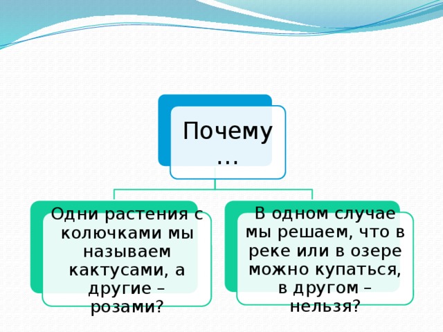 Почему… Одни растения с колючками мы называем кактусами, а другие – розами? В одном случае мы решаем, что в реке или в озере можно купаться, в другом – нельзя? 