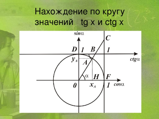 Нахождение по кругу значений tg x и ctg x 