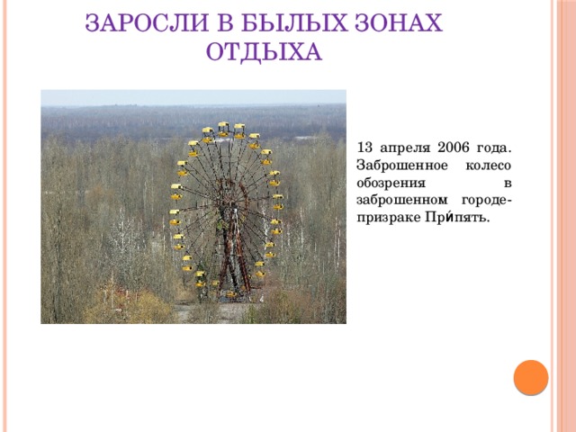 Заросли в былых зонах отдыха 13 апреля 2006 года. Заброшенное колесо обозрения в заброшенном городе-призраке При́пять. 