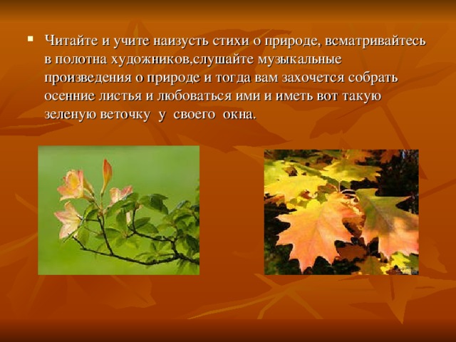 Читайте и учите наизусть стихи о природе, всматривайтесь в полотна художников,слушайте музыкальные произведения о природе и тогда вам захочется собрать осенние листья и любоваться ими и иметь вот такую зеленую веточку у своего окна. 