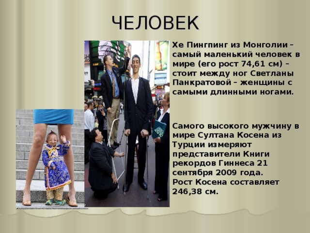 ЧЕЛОВЕК   Хе Пингпинг из Монголии – самый маленький человек в мире (его рост 74,61 см) – стоит между ног Светланы Панкратовой – женщины с самыми длинными ногами.   Самого высокого мужчину в мире Султана Косена из Турции измеряют представители Книги рекордов Гиннеса 21 сентября 2009 года.  Рост Косена составляет 246,38 см. 